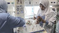 Premature newborns receive treatment after being transferred from al Shifa Hospital to Rafah. Pic: AP