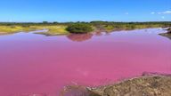 Pink pond on Maui fascinates visitors, drought likely the cause
