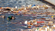 A picture of plastic pollution from a lawsuit filing by New York state attorney general