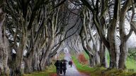 People walking along the Dark Hedges in Co Antrim, Northern Ireland. Pic: Liam McBurney/PA Wire