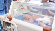A premature Palestinian baby, evacuated from Gaza, lies inside an incubator on the Egyptian side of the Rafah border