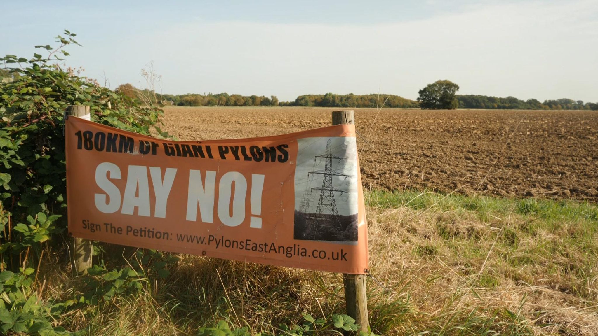 Why electricity pylons in Essex are the front line in the battle to hit ...
