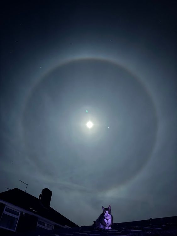 Did You See Rings Around The Moon in Maine Last Night? Here's Why