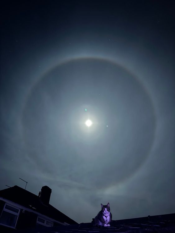 The moon spotted in Staffordshire. Pic: Ben Light