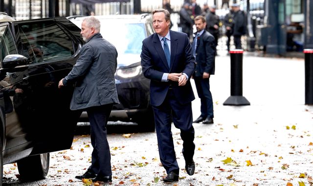 David Cameron appointed foreign secretary and made baron in shock ...
