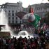 Pro-Palestinian march on Armistice Day not yet met threshold for ban - Met chief