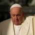 Pope Francis cancels audiences due to 'mild flu'