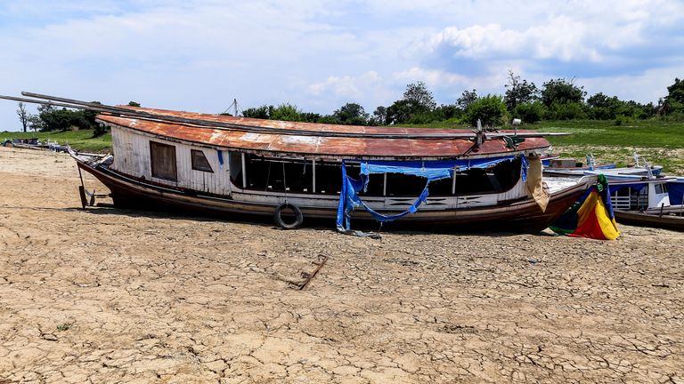 The Amazon has been experiencing drought. Pic: AP