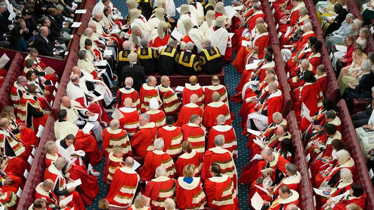 The chamber of the House of Lords fills up ahead of the King&#39;s Speech at the State Opening of Parliament, in the Palace of Westminster in London. Picture date: Tuesday November 7, 2023.