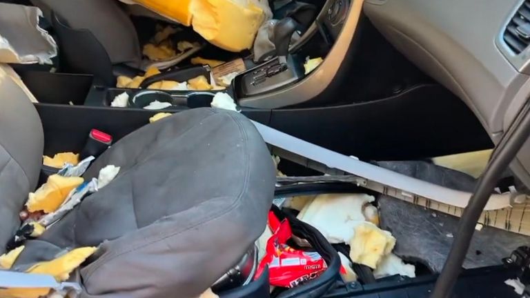 Bear shreds car interior looking for peanuts and chocolate