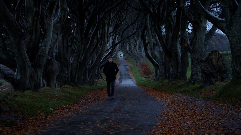 A man walking through Northern Ireland&#39;s famous Dark Hedges