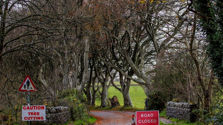 A road closed sign at the Dark Hedges as workmen begin the operation to remove a number of trees. Pic: PA