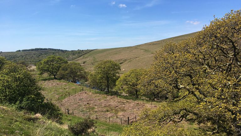 Dartmoor is one of 10 national parks in England which will receive a share of funding. File pic