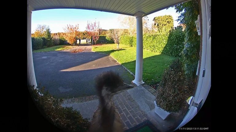 Emu escape front door kent