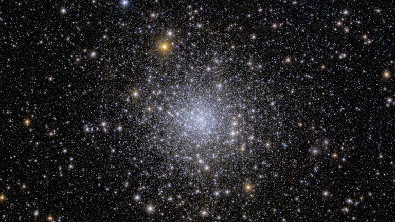 Euclid’s view of globular cluster NGC 6397
