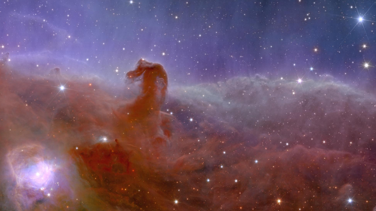 Euclid’s view of the Horsehead Nebula
