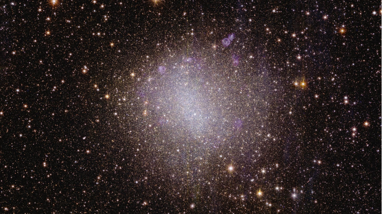 Euclid’s view of irregular galaxy NGC 6822
