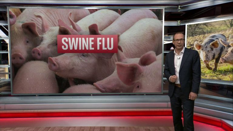 swine flu screen