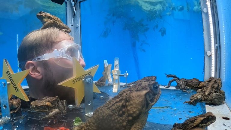 I'm A Celebrity contestant Sam Thompson covered in frogs during a trial on the show. Pic: ITV/Shutterstock