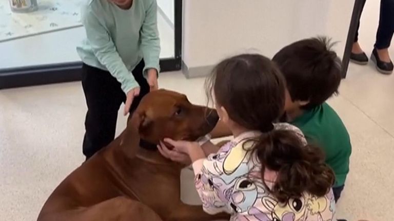 Three children released by Hamas reunite with their dog in Israel