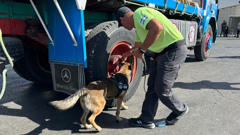 A sniffer dog checking a vehicle at the border