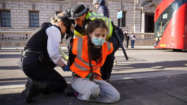 A Just Stop Oil protester is handcuffed and removed by police whilst blocking Whitehall in central London. Picture date: Monday November 6, 2023.