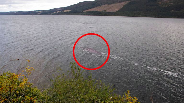 Is This The Loch Ness Monster - Man Takes Picture Of Creature In Loch Ness. Steve Challice/Cover Images