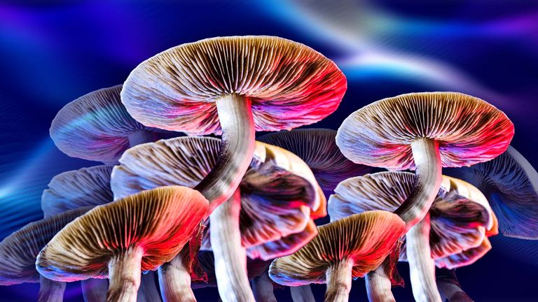 Mushrooms and music: The exploration of psychedelic gigs