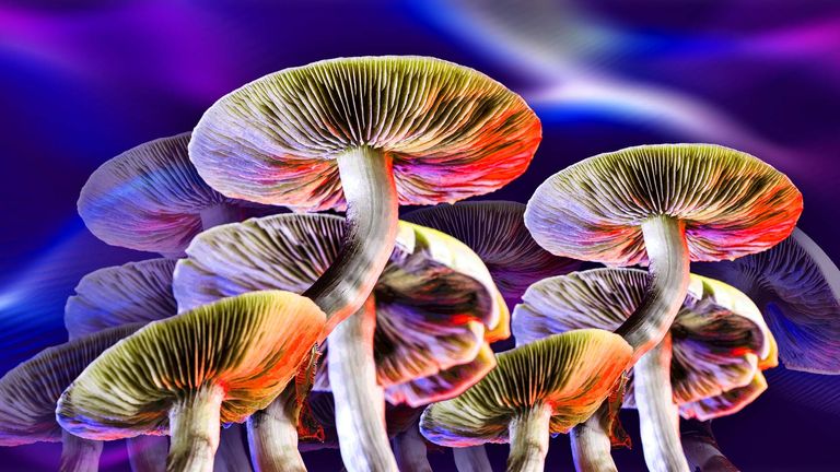 Magic mushrooms