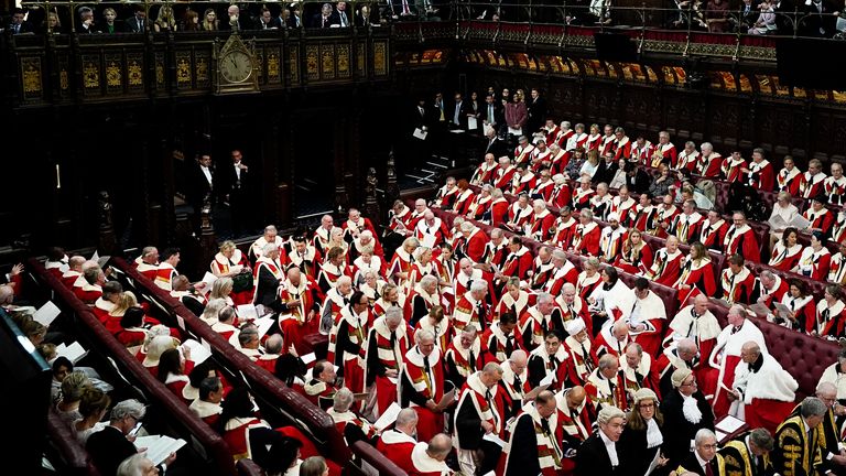 Members of the House of Lords await the start of the State Opening of Parliament, in the House of Lords at the Palace of Westminster in London. Picture date: Tuesday November 7, 2023.
