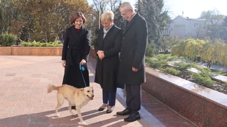 Moldova&#39;s President Maia Sandu and her dog greet Austria&#39;s President Alexander Van der Bellen and Slovenia&#39;s President Natasa Pirc Musar in Chisinau, 