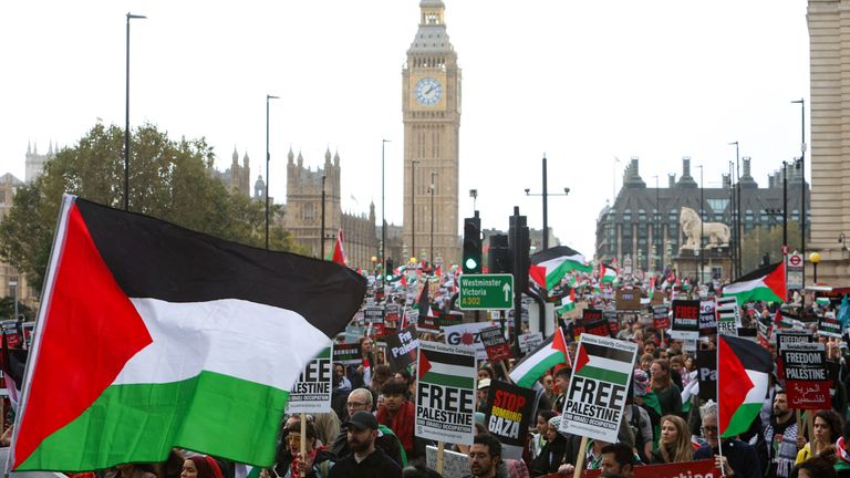 Organiser Of Pro-Palestinian March On Armistice Day Refuses Met Plea To ...