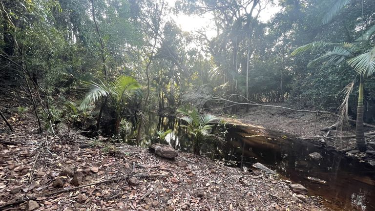 Police shared images of the area they&#39;re searching. Pic: Queensland Police