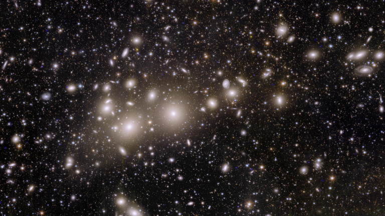 Euclid’s view of the Perseus cluster of galaxies

