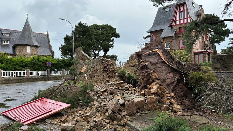 A fallen tree is seen during Storm Ciaran in Perros-Guirec, Brittany, France, November 2, 2023. REUTERS/Benoit Tessier