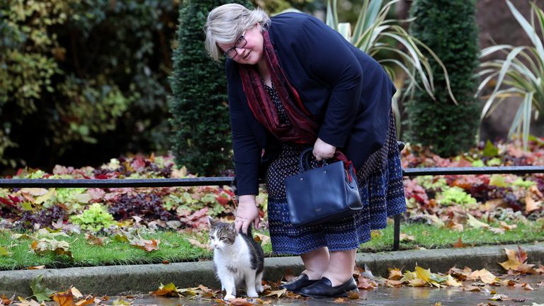 Therese Coffey pets Larry the cat outside 10 Downing Street
