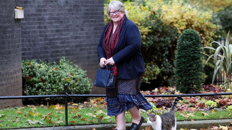 Therese Coffey walks outside 10 Downing Street next to Larry the cat