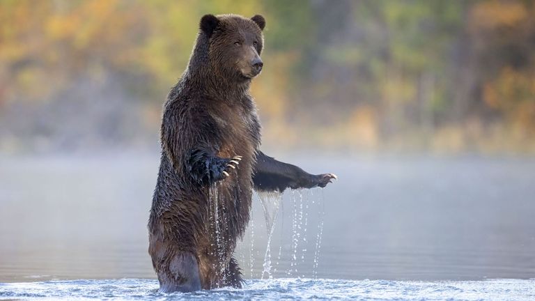 Pic: John E. Marriott/Wildlife Photographer of the Year