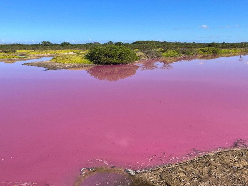 Hawaii officials try to work out what caused coastal pond on Maui