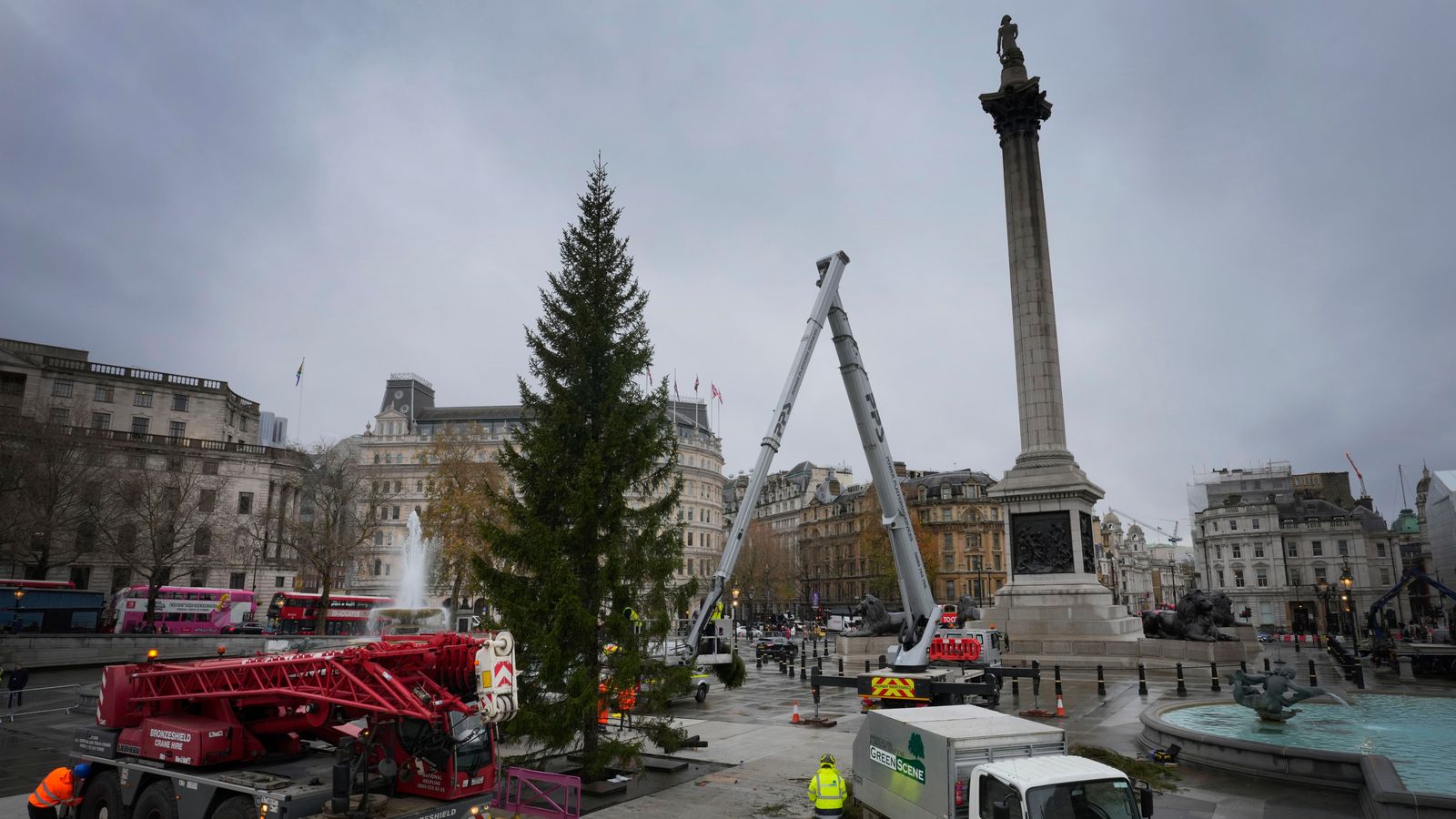 Trafalgar Square Christmas tree: Annual gift to London from Norway mocked by onlookers as 'half dead'