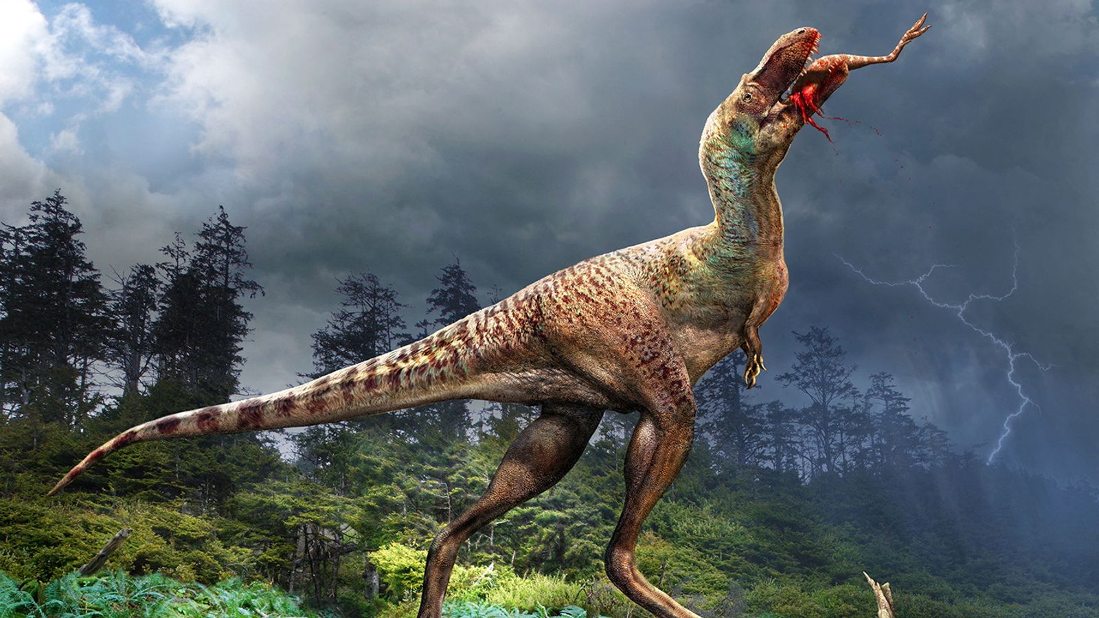 Откриването на останки от бебе динозавър във вкаменелости на тиранозавър може да хвърли нова светлина върху хранителните му навици
