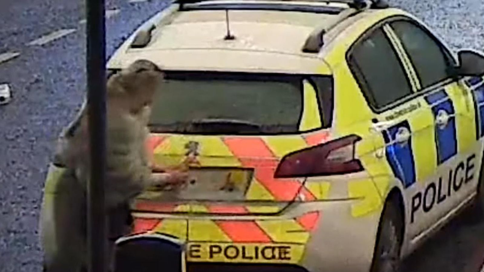 Police appeal for help identifying woman who ripped number plate off