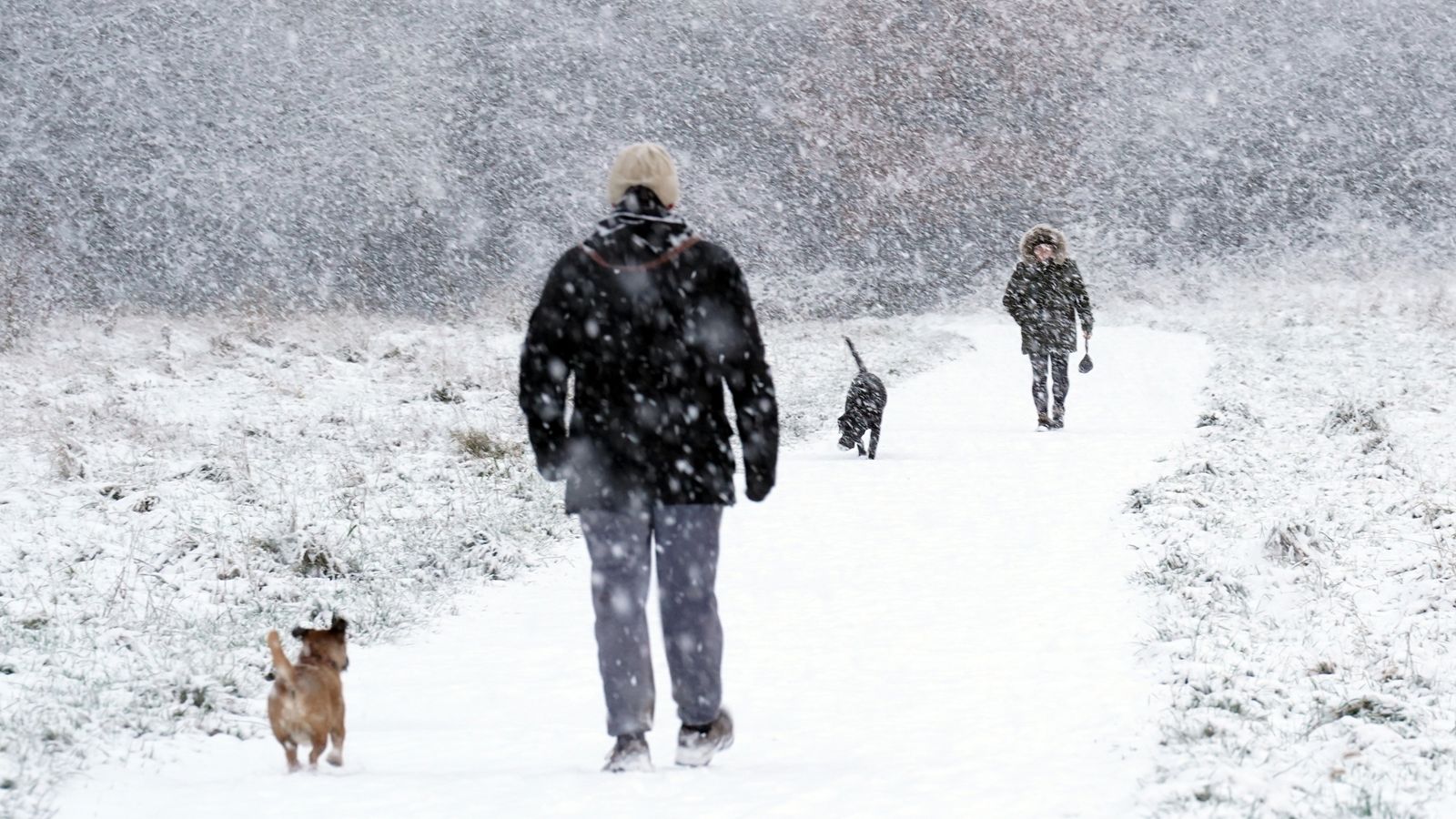 Времето в Обединеното кралство: Издадено е предупреждение за силни ветрове и възможни прекъсвания на електрозахранването - но ще видим ли бяла Коледа?