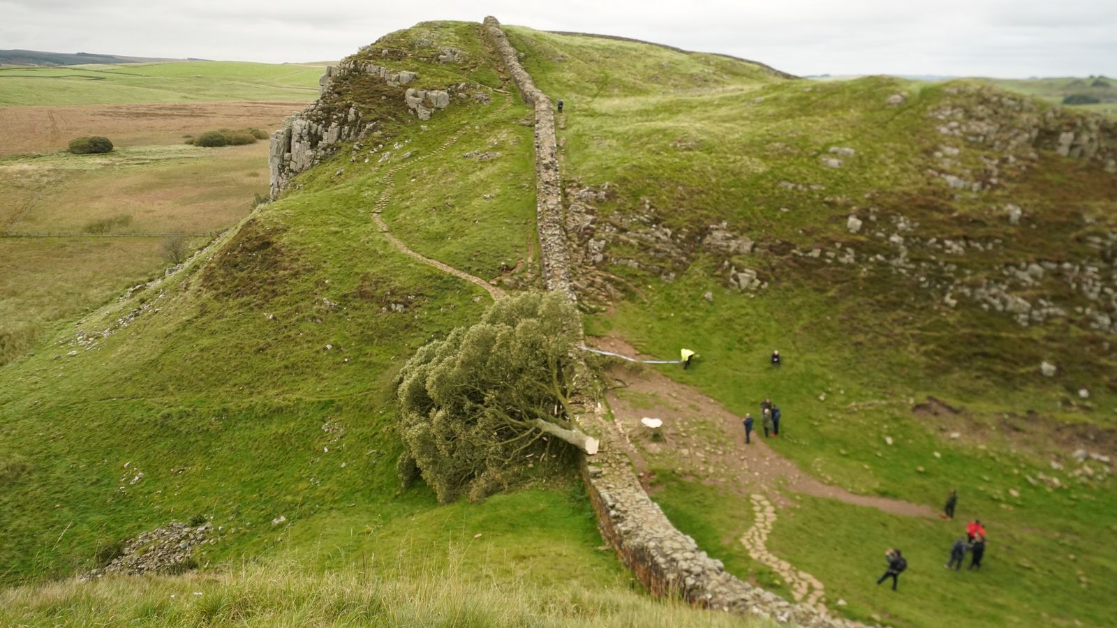 Two Men Charged with Cutting Down 150-Year-Old Tree on Hadrian\'s Wall
