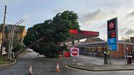 A toppled tree rests on a petrol station forecourt in Derby
Pic:@Penguin_PR/X
