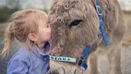 Four-year-old Bella wants Winston the donkey home. Pic: Amy Doran