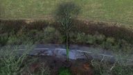 A fallen tree blocks the road on Three Mile Lane after strong rain and winds from Storm Gerrit, in Keele, Staffordshire, Britain, December 27, 2023. REUTERS/Carl Recine