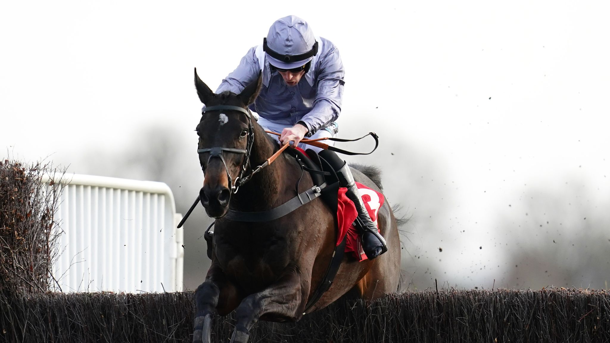 Boxng Day Races Boxing Day in pictures across the country - as UK splashes, shops and ...