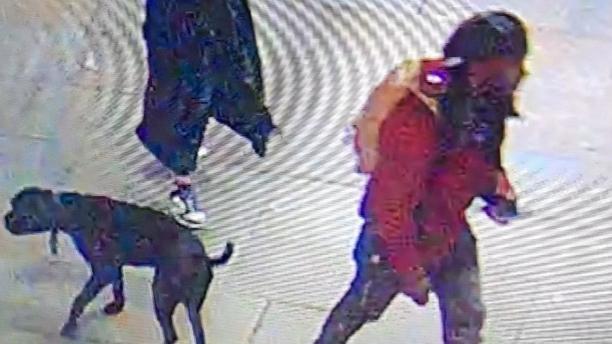CCTV appeal after man stabbed following row over dog mess | UK News ...