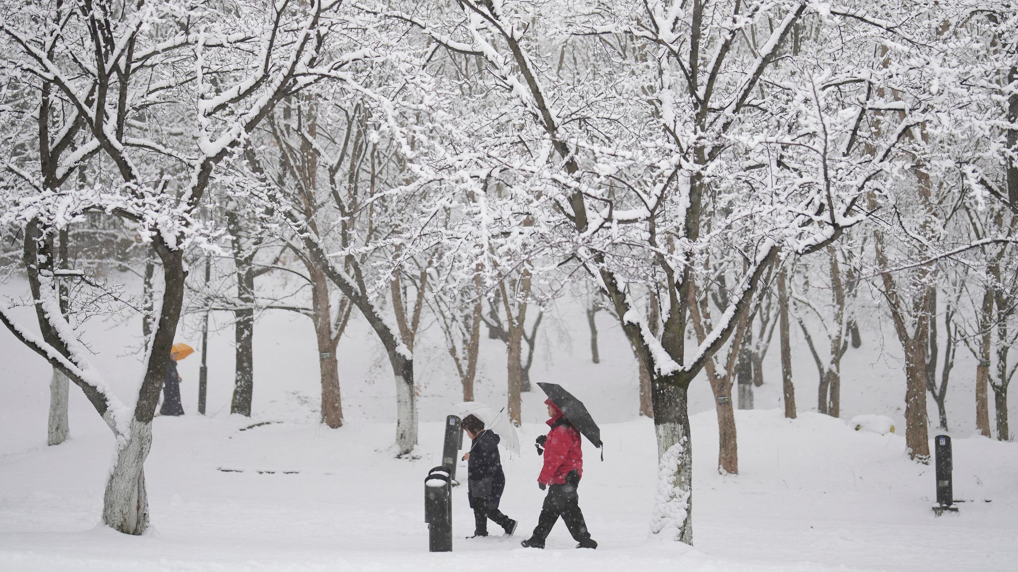 Heaviest snow in South Korea's capital Seoul for greater than 40 years